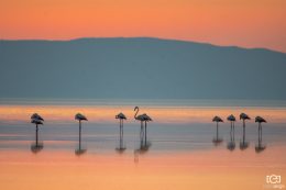 Tuz Gölü – Salt Lake